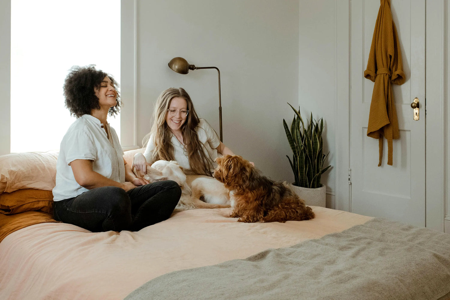 Two friendly young women sitting with two happy dogs on a bed